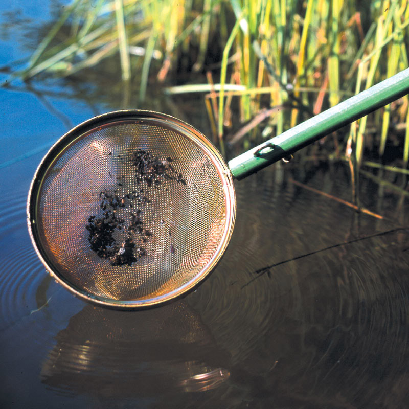 Environment Explorer Wire Sieve Net LabWorld.co.uk