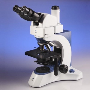 Triton II 50W Microscope with Ergonomic Trinocular Head
