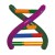 DNA Double Helix Model Student Kit