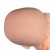 Erler-Zimmer Female Pelvis Model with Foetus Doll and Placenta