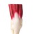 Erler-Zimmer Life-Size Knee Joint Model With Muscles And Ligaments