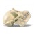 Female Chimpanzee Skull Model (Pan Troglodytes)