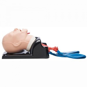 AirSim Advanced Model With Bronchial Tree
