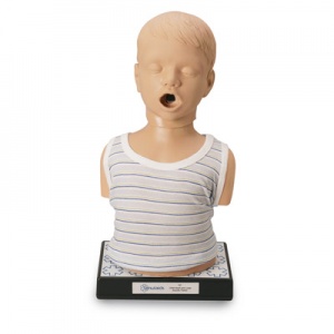 Child Heart and Lungs Sound Trainer
