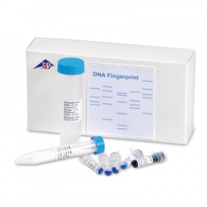 DNA Fingerprint Experiment Set