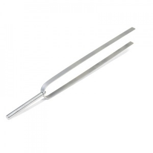 Demonstration Tuning Fork