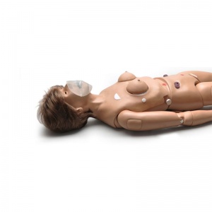 Code Blue Multipurpose Patient Care and BLS Mannequin