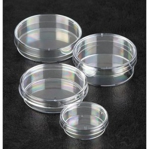 Fisherbrand 90 x 16.2mm Single Vented Polystyrene Petri Dishes (Pack of 600)