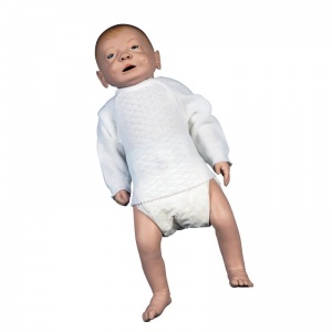 Male Baby Care Model