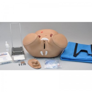Male and Female Catheterisation and Ostomy Care Simulator