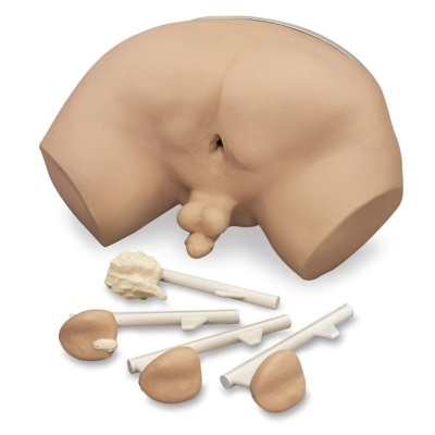 Erler-Zimmer Prostate Examination Simulator