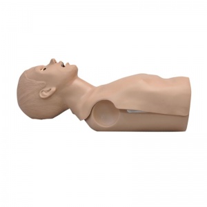 Adult CPR Simon Torso Simulator