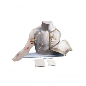 Erler-Zimmer Chester Chest Manikin With Advanced Arm