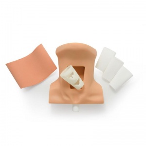 Erler-Zimmer SurgiReal Cricothyrotomy Simulator