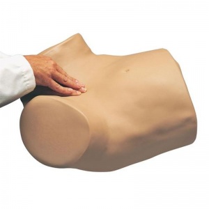 GYN/AID Gynaecologic Simulator