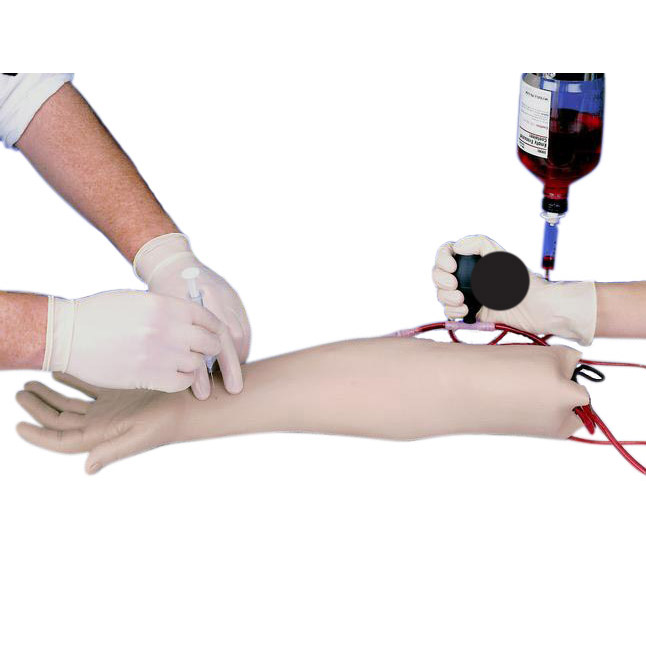 Arterial Puncture Arm LabWorld.co.uk