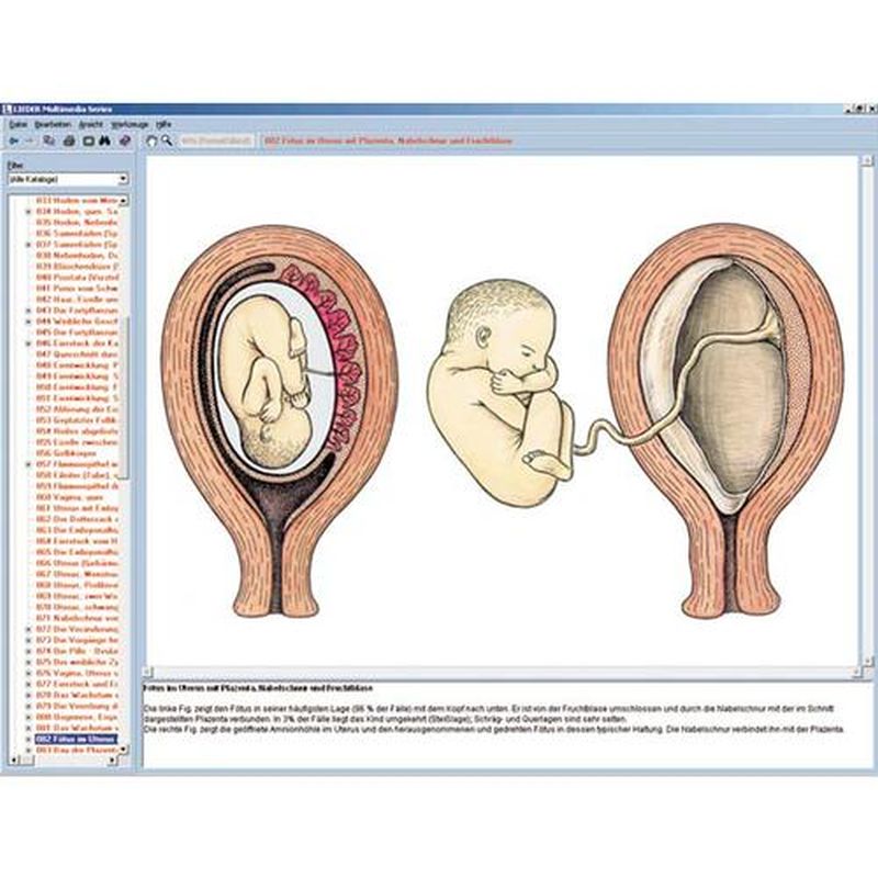 3B Embryology and Development of Animals CD-ROM