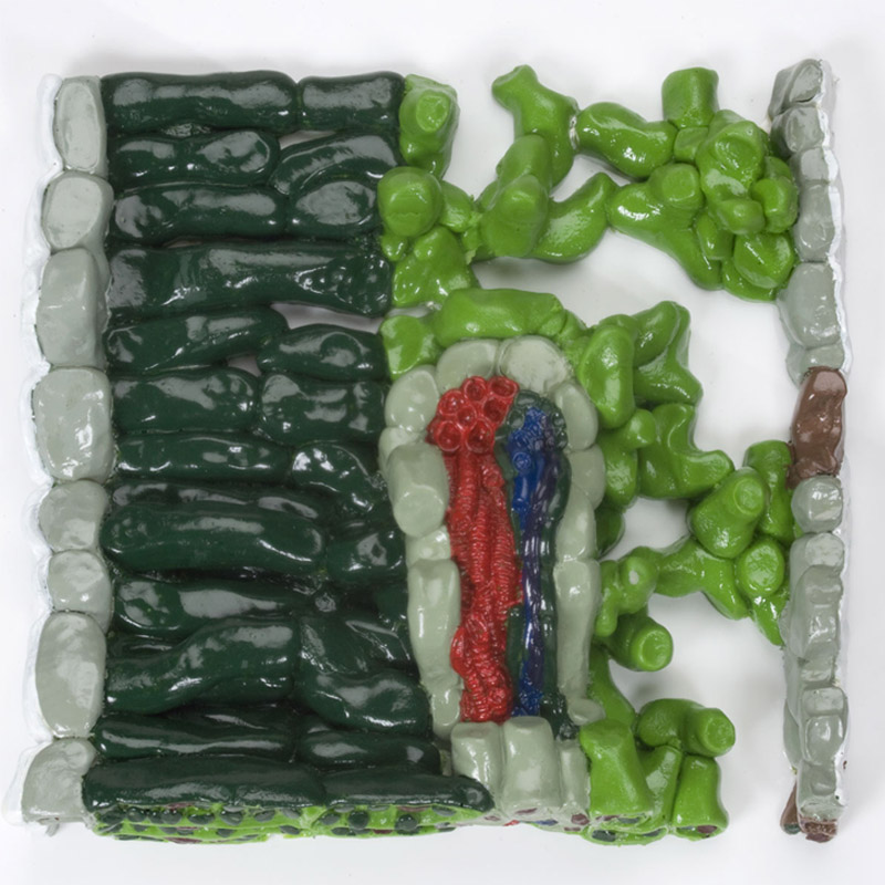 Relief Model of Leaf Structure