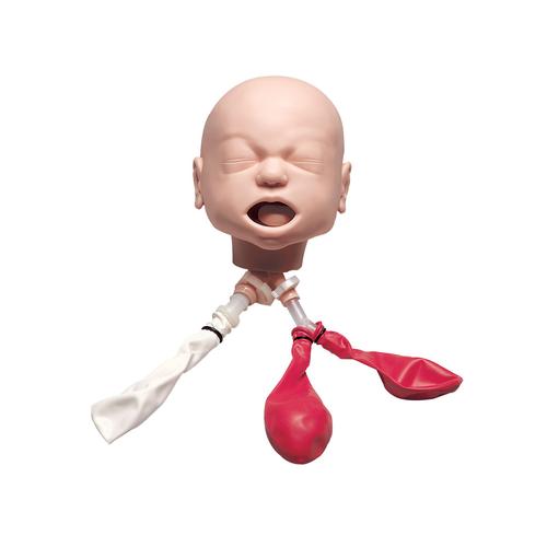 Infant Airway Management Trainer with Stand