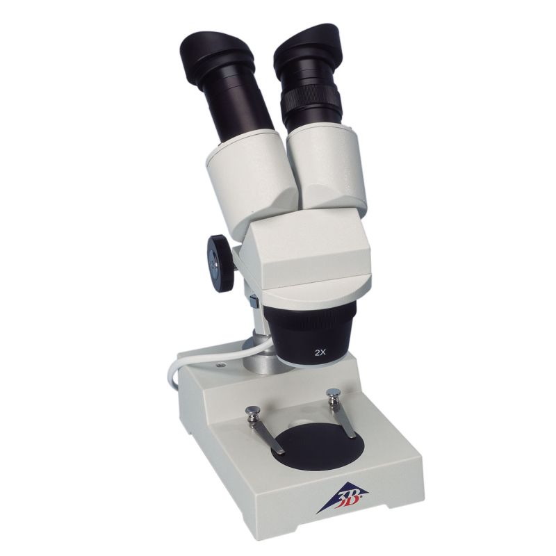 3B Stereo Microscope 40x (Rotatable Head with LED Light)