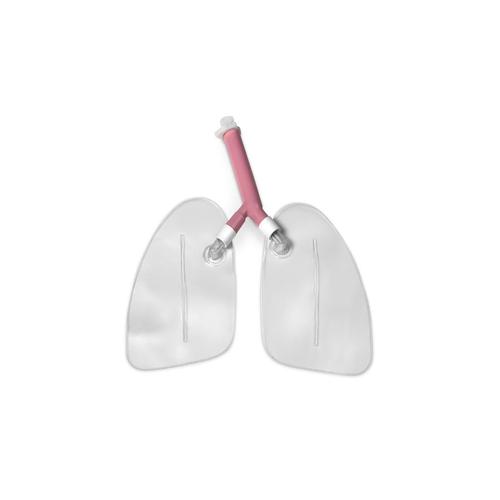 Replacement Lungs
