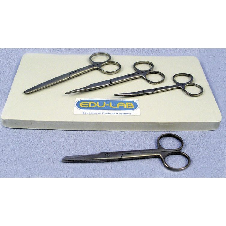 Scissors, Dissecting 125mm S/S, Fine Point Closed Shank