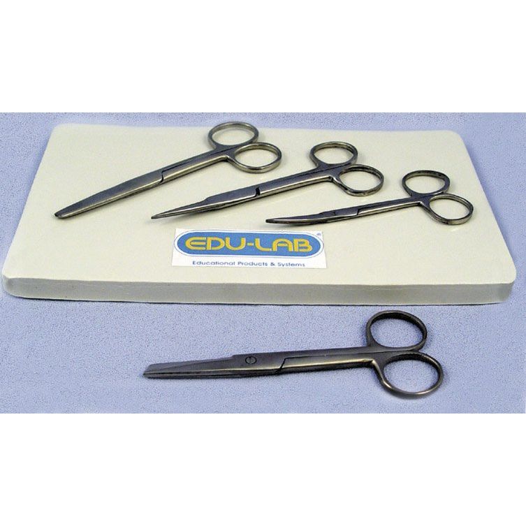 Scissors, Dissecting 125mm S/S, Fine Point Closed Shank LabWorld.co.uk