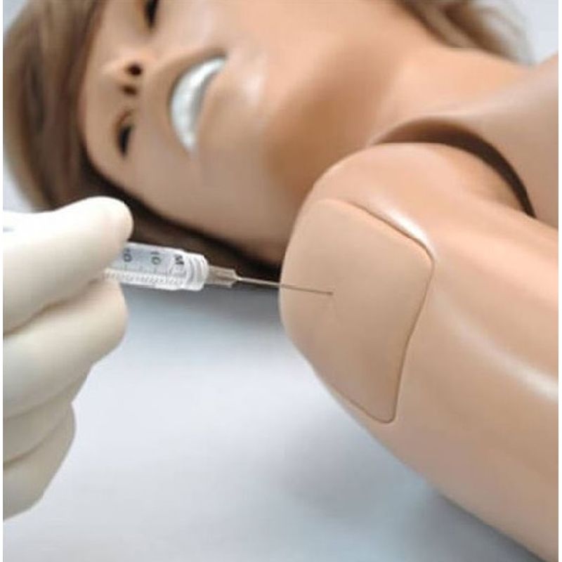 Medical Education - LabWorld.co.uk