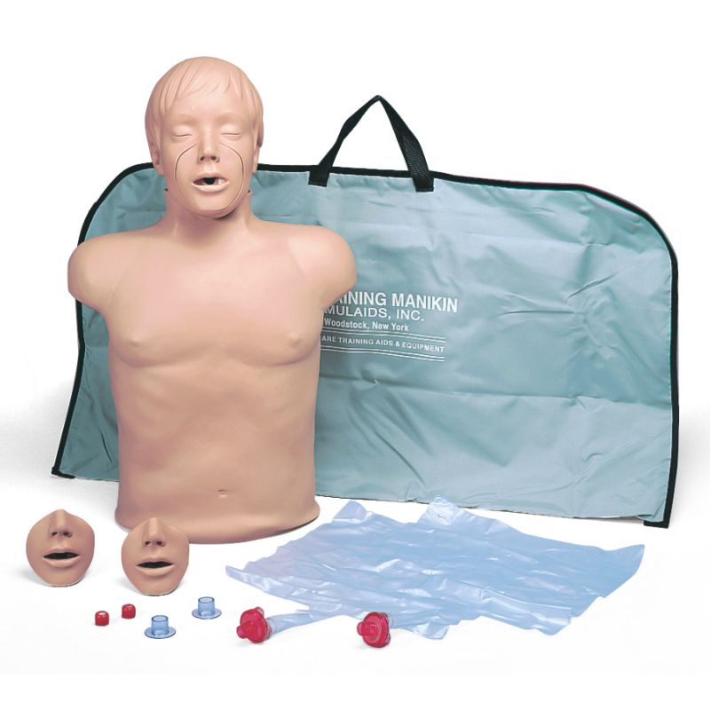 Brad Compact CPR Training Torso
