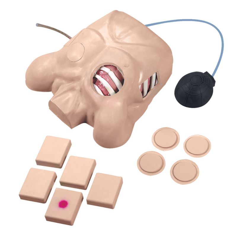 Life/Form Chest Tube Mannequin LabWorld.co.uk