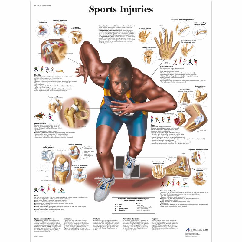 Sports Injuries Chart