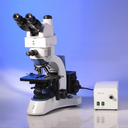 Triton II 100W Microscope with Ergonomic Trinocular Head