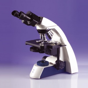 Magnum Binocular Microscope with Phase Contrast Objectives