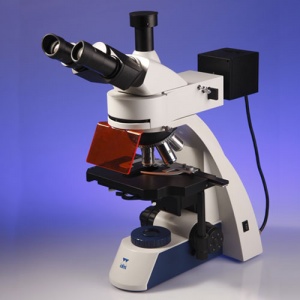 Magnum Fluorescence Microscope with LED Illumination