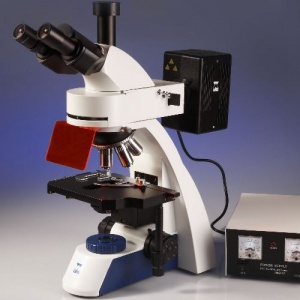 Magnum Fluorescence Microscope with HBO 100W Illumination