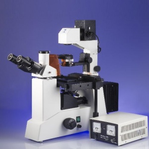 Inverso TC-Fluorescence Microscope