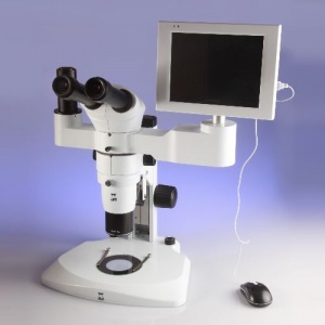 Varizoom Stereo Micorscope with 6 LED Screen Option