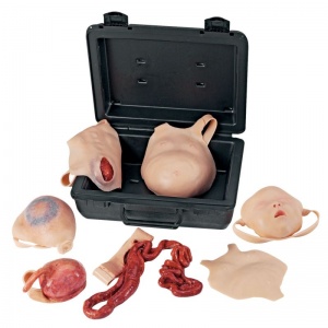 Neonatal Wound Kit