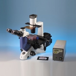 Inverso TC-100 Fluorescence Microscope
