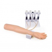 Erler-Zimmer Injection Training Arm for IV Infusion and Injections