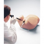 Erler-Zimmer Hysteroscopy Medical Simulator