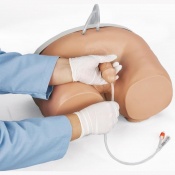 Erler-Zimmer Male Catheterisation Training Model